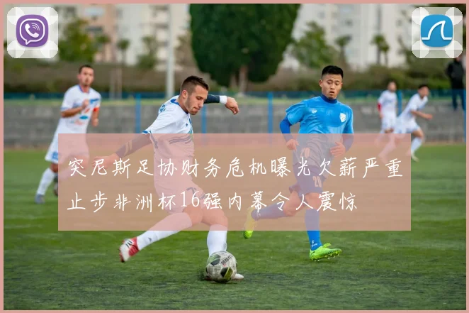 突尼斯足协财务危机曝光欠薪严重止步非洲杯16强内幕令人震惊