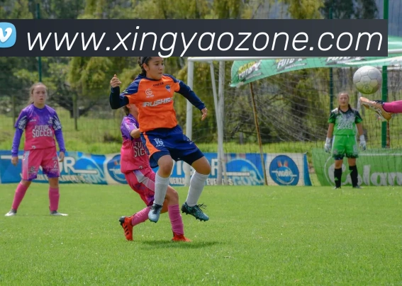 杏耀娱乐服务体系